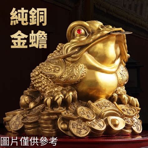 金錢蟾蜍|神獸供養方法：三腳金蟾篇(咬錢)